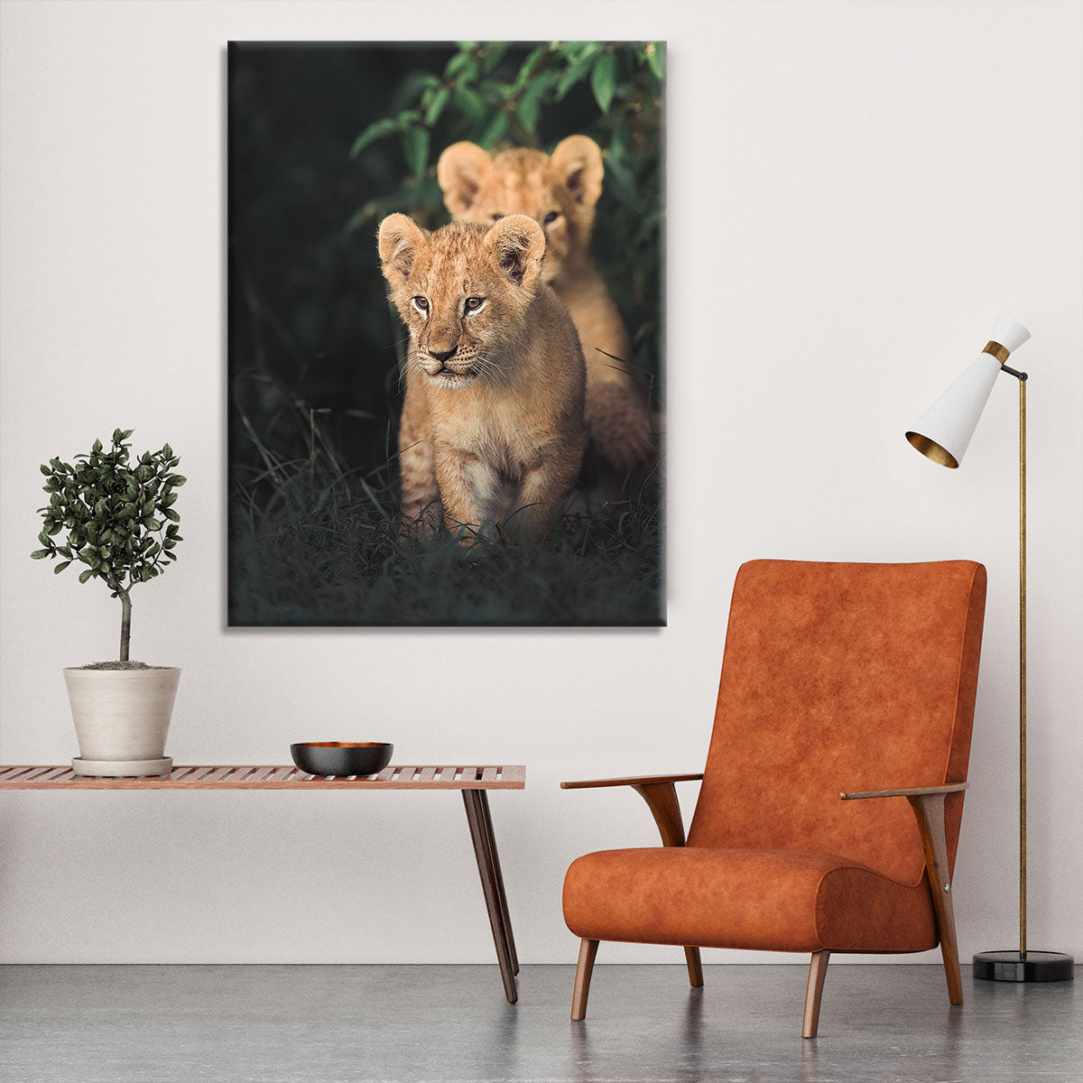 Lions Cub Canvas Print or Poster - 1x - 6