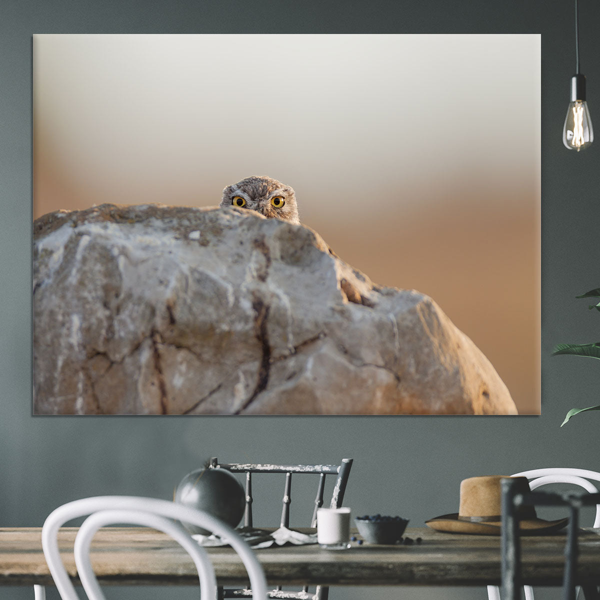 Little Owl Canvas Print or Poster - 1x - 3