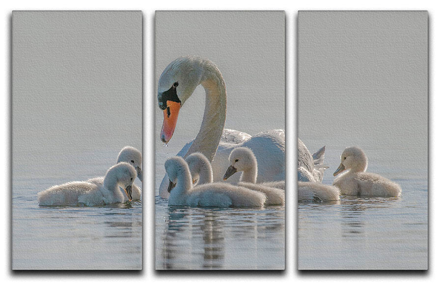 Mom is the whole world for babies. 3 Split Panel Canvas Print - 1x - 1
