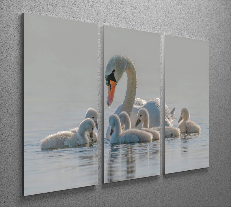 Mom is the whole world for babies. 3 Split Panel Canvas Print - 1x - 2