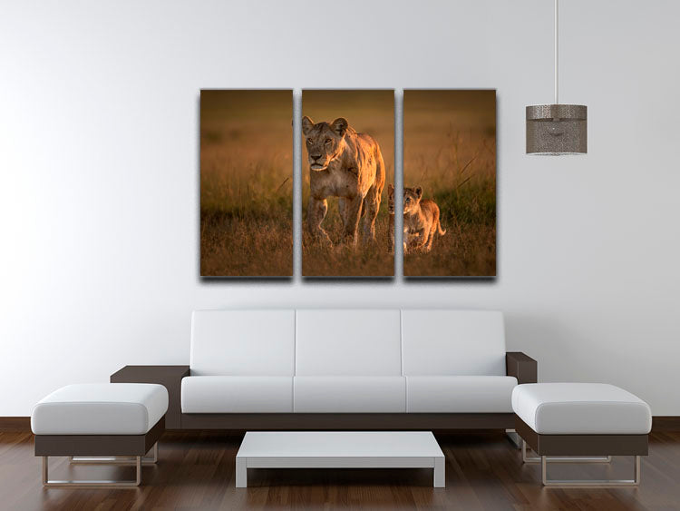 Mom lioness with cub 3 Split Panel Canvas Print - 1x - 3