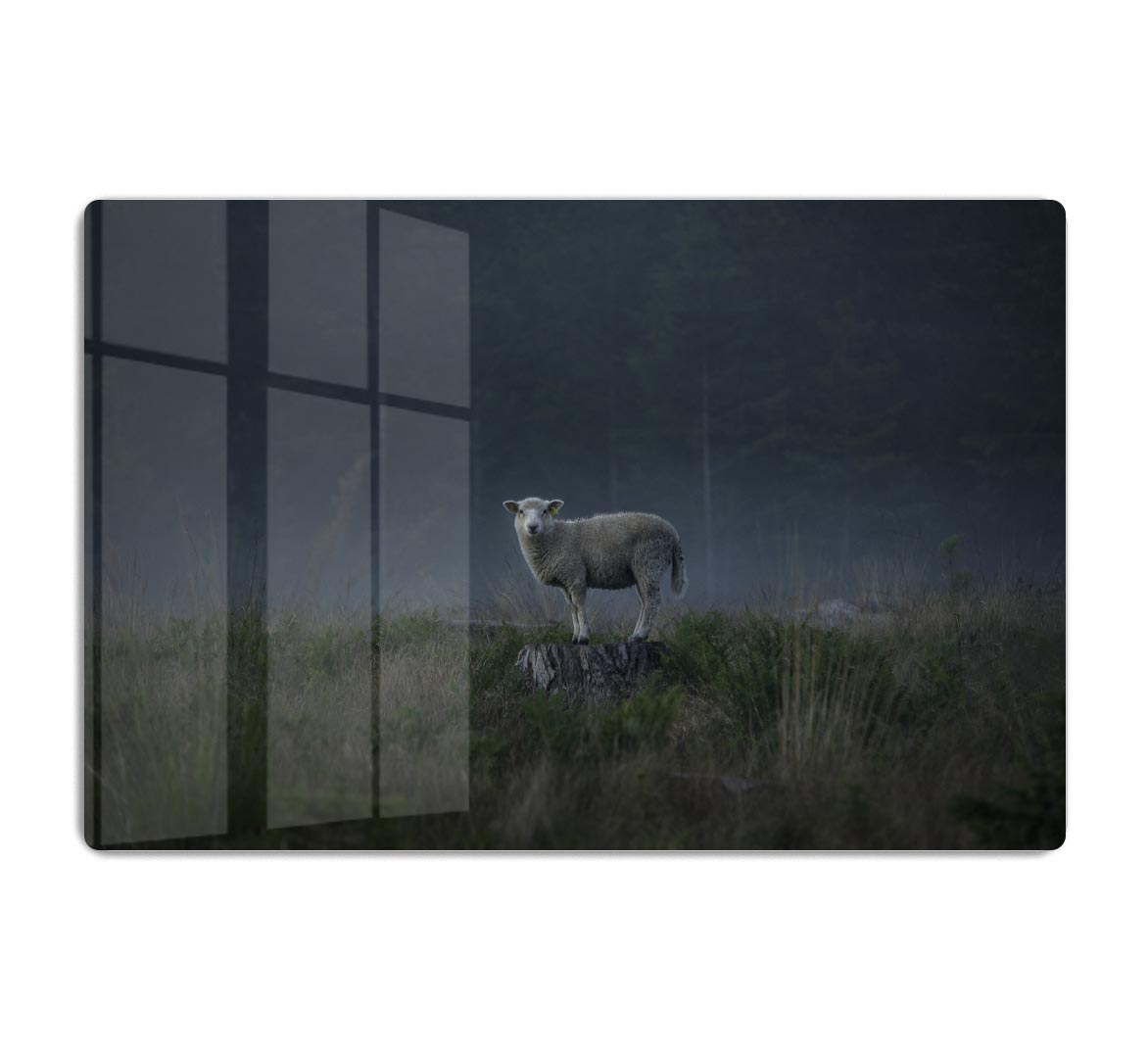 Moody sheep Acrylic Block - 1x - 1