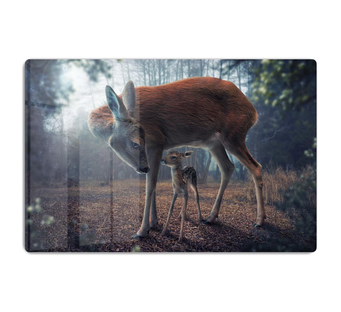 Mother and Fawn Acrylic Block - 1x - 1