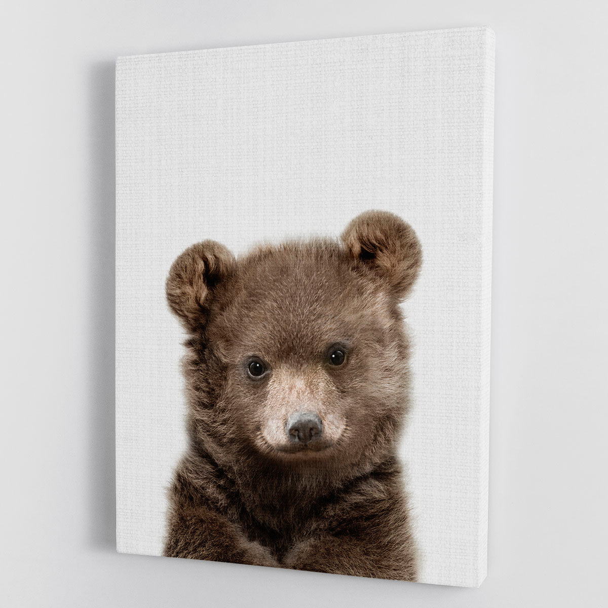 Peekaboo Baby Bear Canvas Print or Poster - 1x - 1