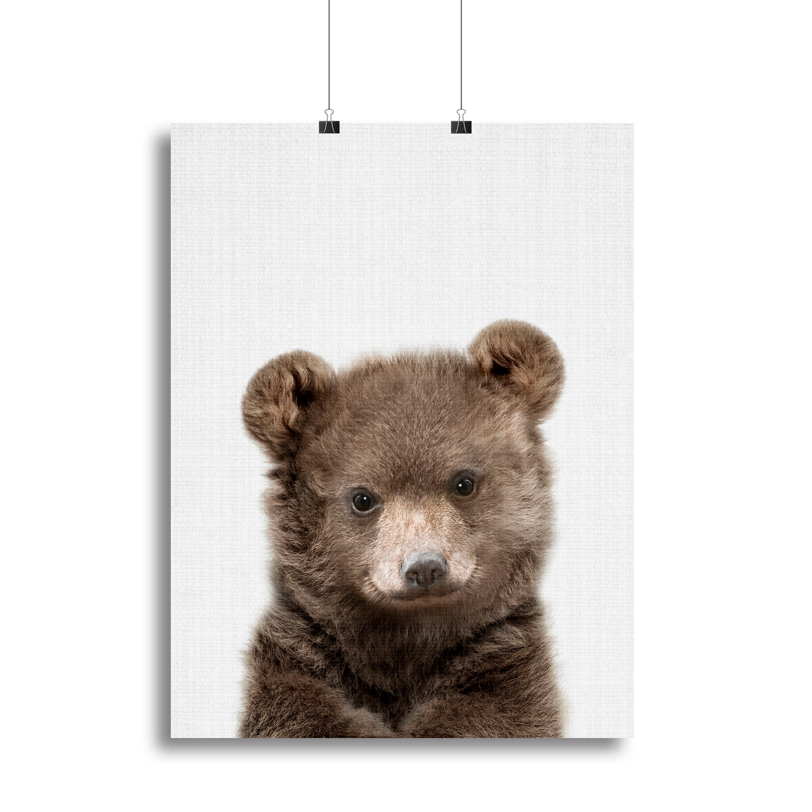 Peekaboo Baby Bear Canvas Print or Poster - 1x - 2