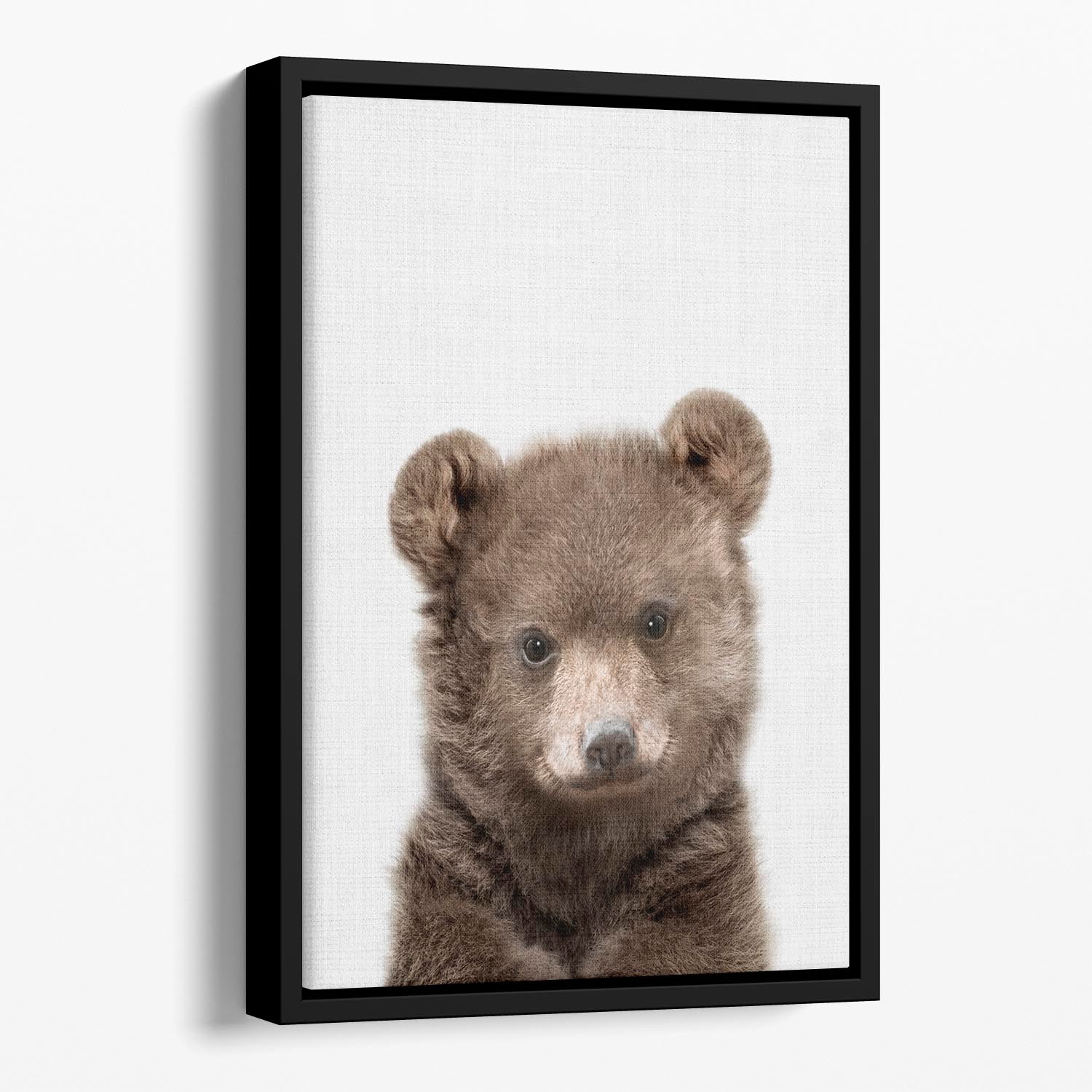 Peekaboo Baby Bear Floating Framed Canvas - 1x - 1