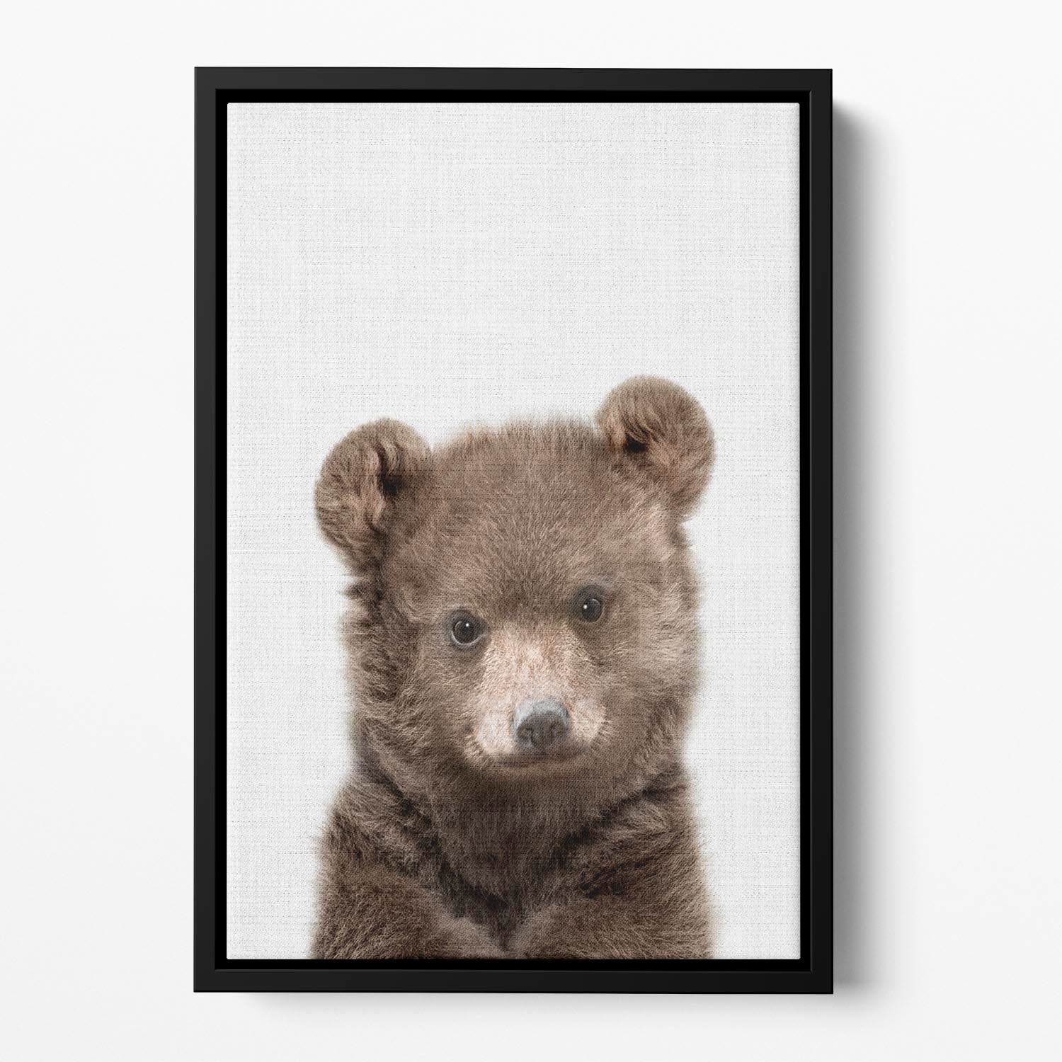Peekaboo Baby Bear Floating Framed Canvas - 1x - 2