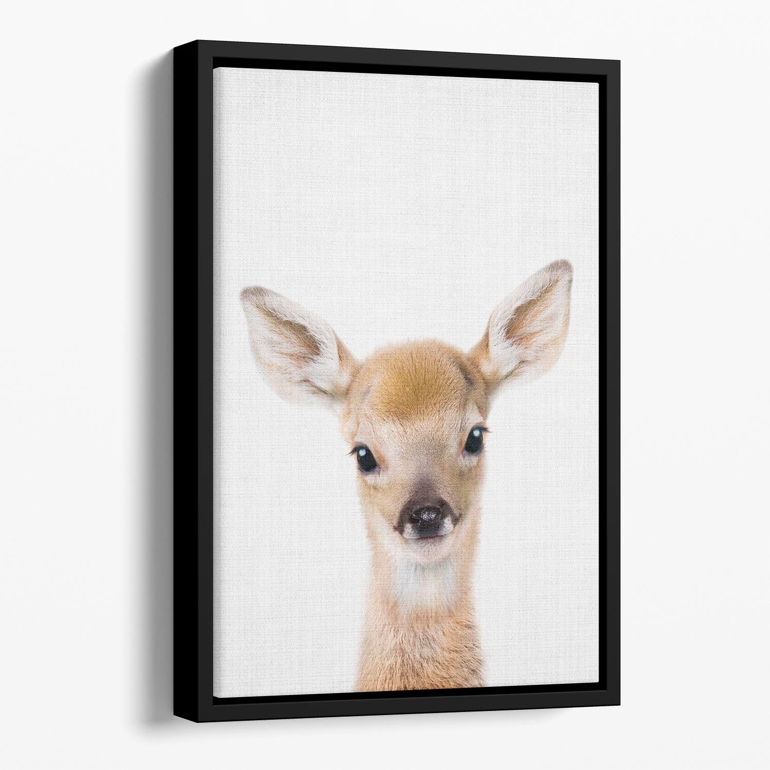 Peekaboo Baby Deer Floating Framed Canvas - 1x - 1