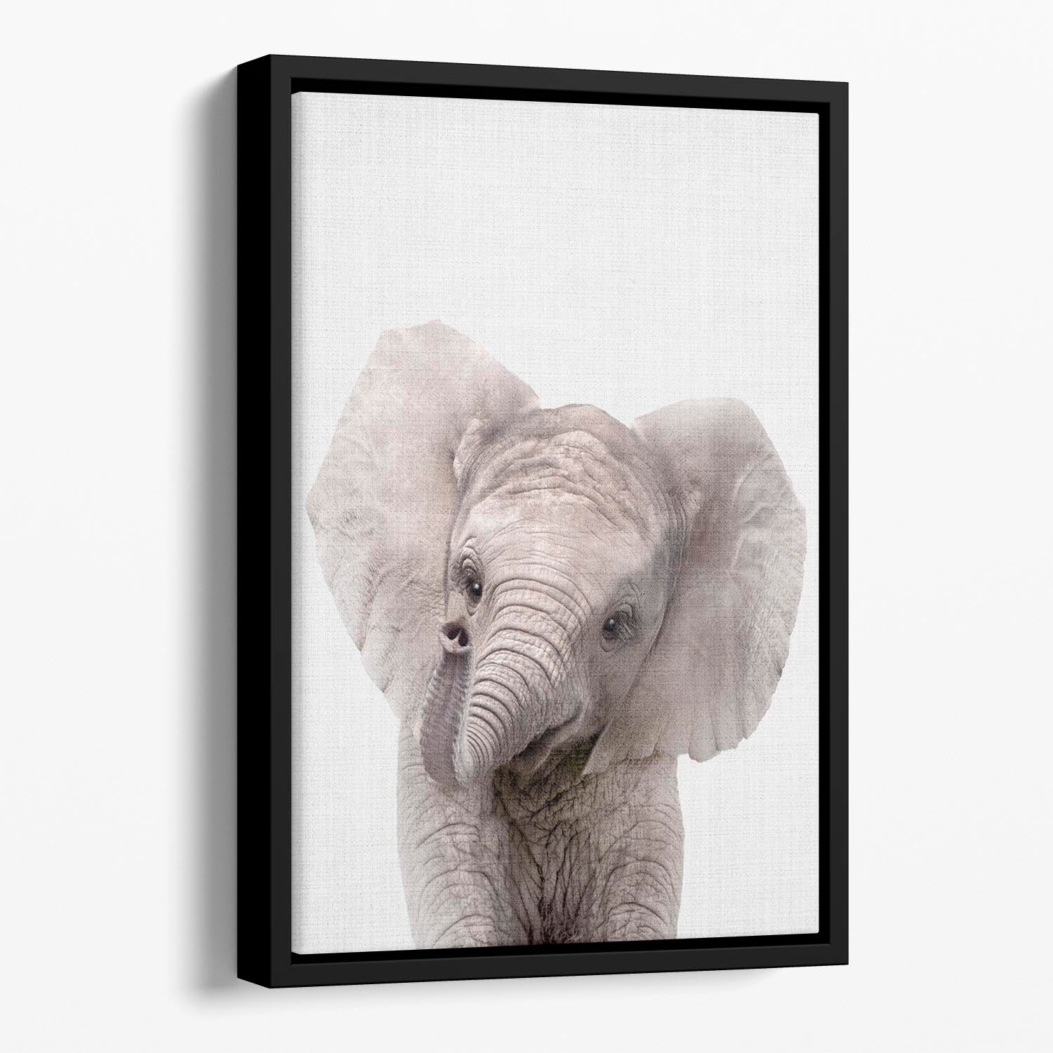 Peekaboo Baby Elephant Floating Framed Canvas - 1x - 1