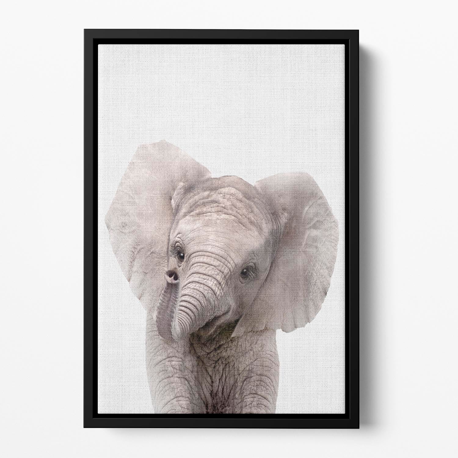 Peekaboo Baby Elephant Floating Framed Canvas - 1x - 2