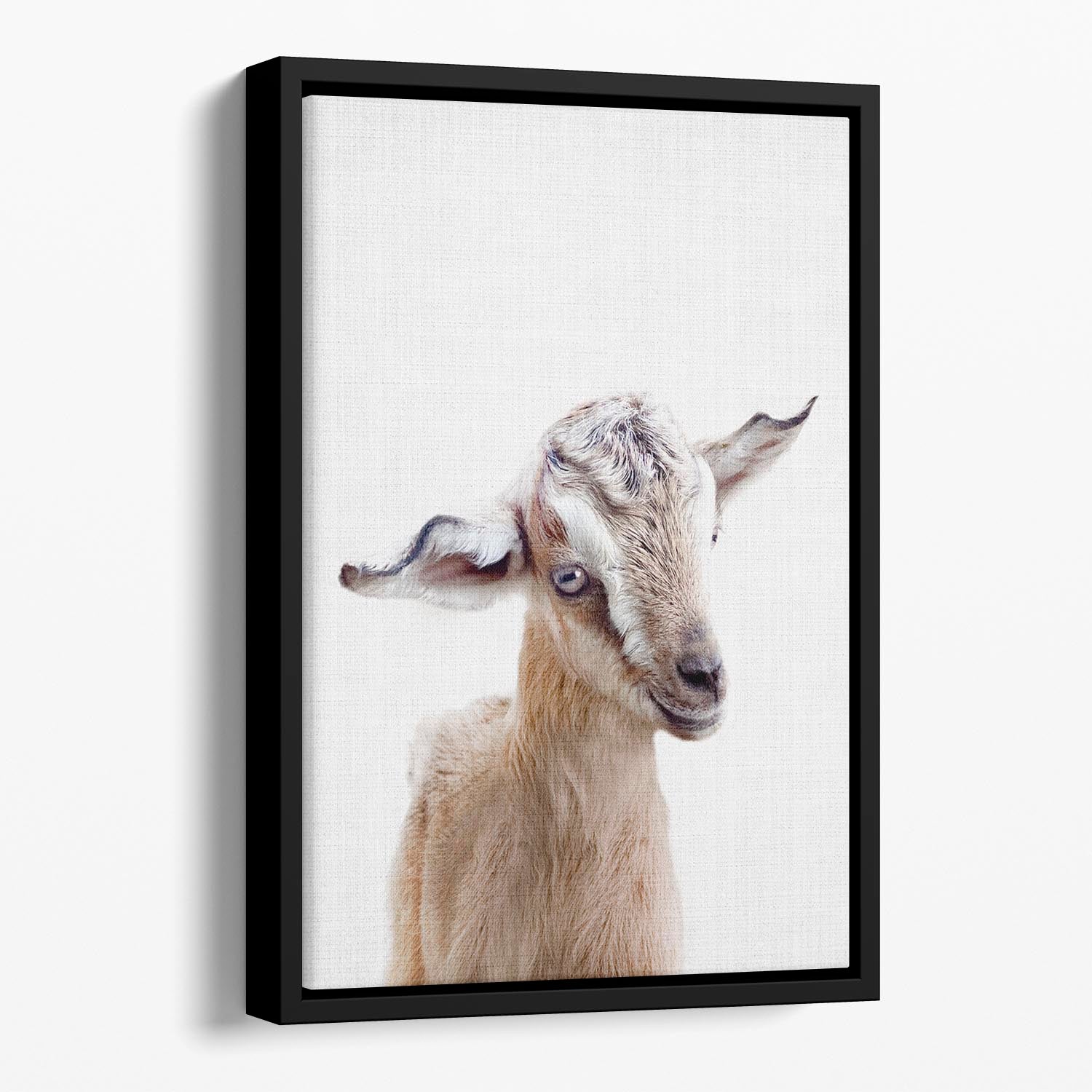 Peekaboo Baby Goat Floating Framed Canvas - 1x - 1