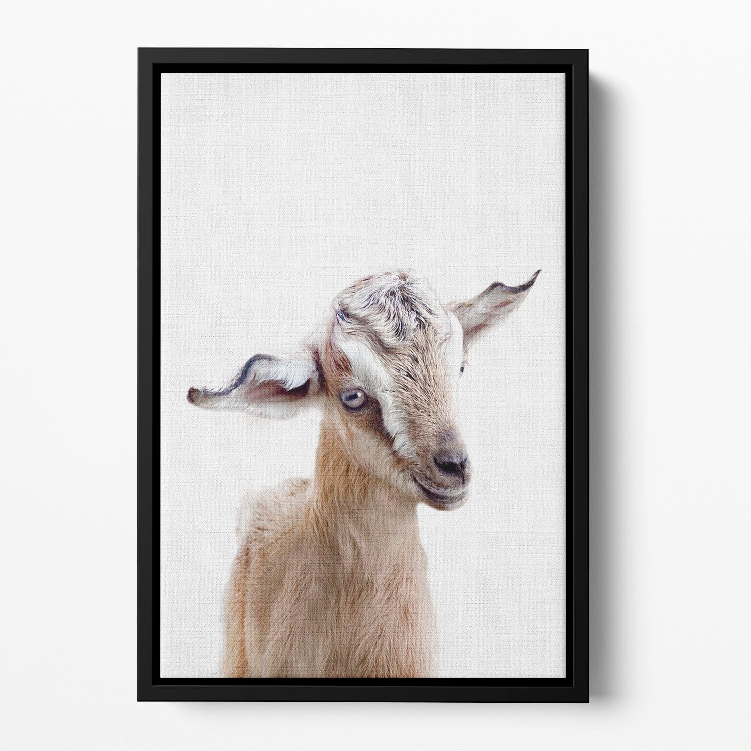 Peekaboo Baby Goat Floating Framed Canvas - 1x - 2