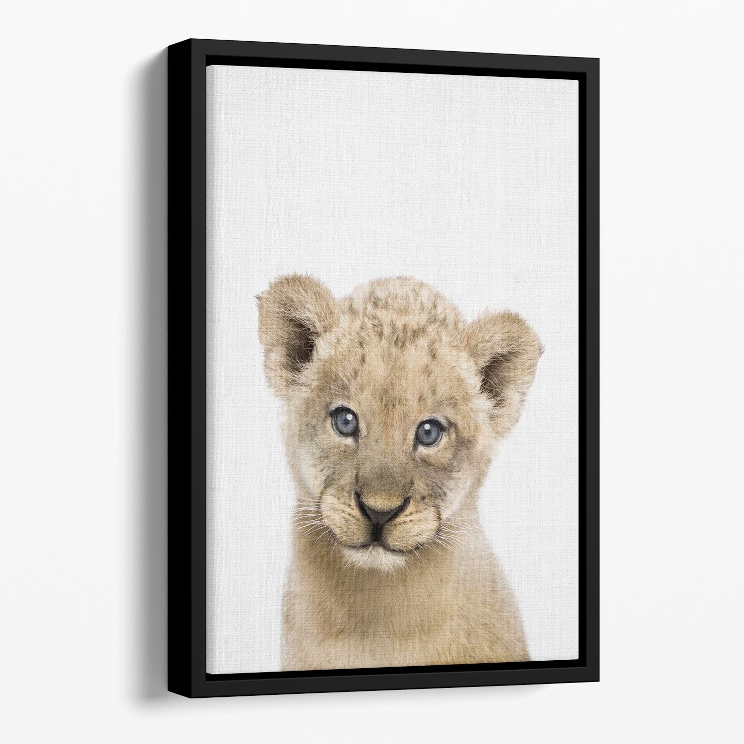 Peekaboo Baby Lion Floating Framed Canvas - 1x - 1
