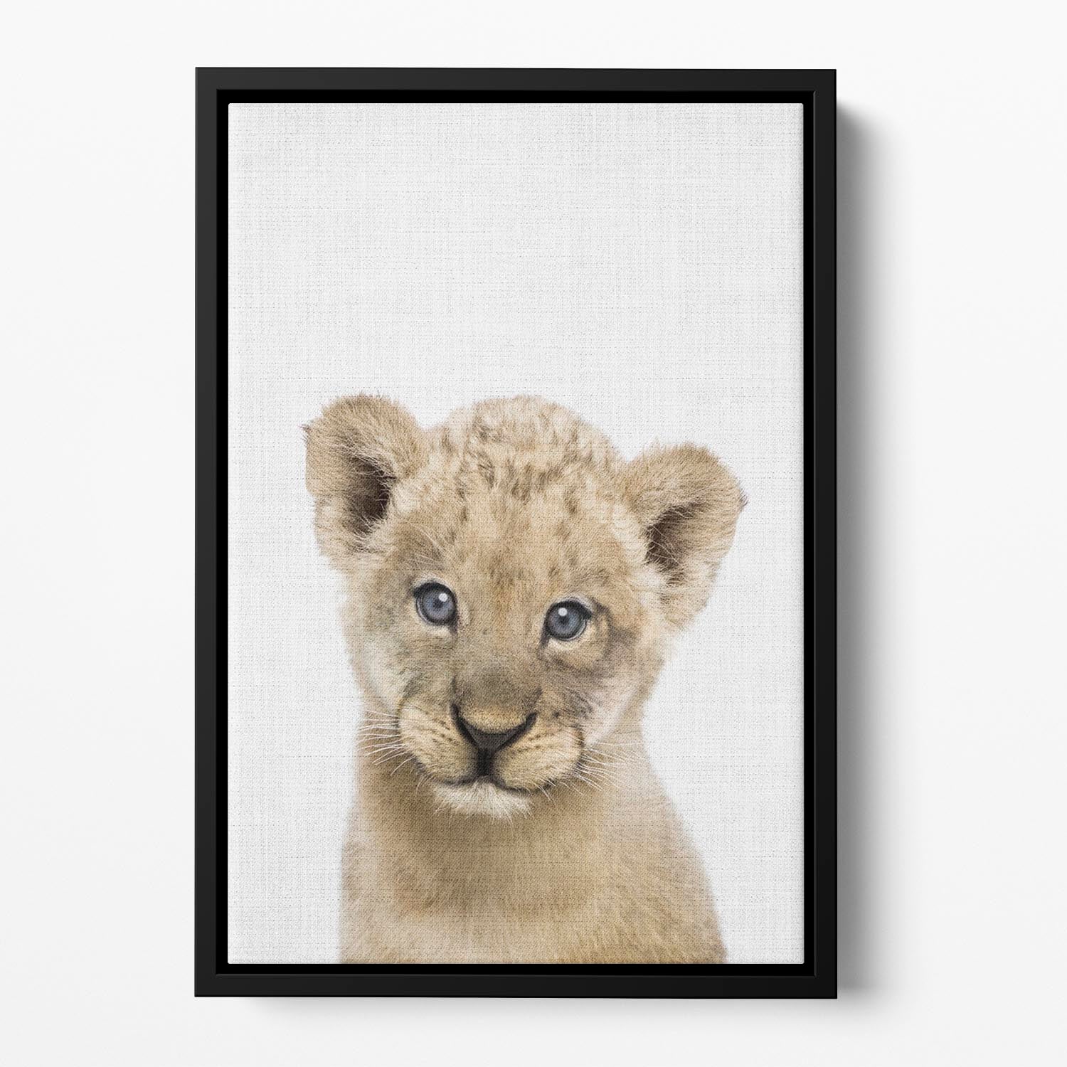 Peekaboo Baby Lion Floating Framed Canvas - 1x - 2