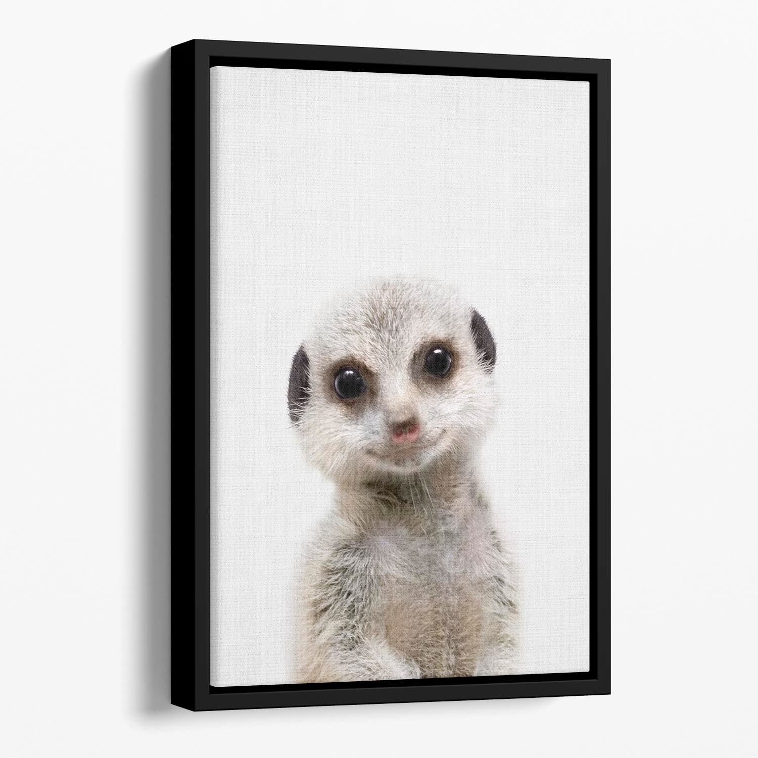 Peekaboo Baby Meerkat Floating Framed Canvas - 1x - 1