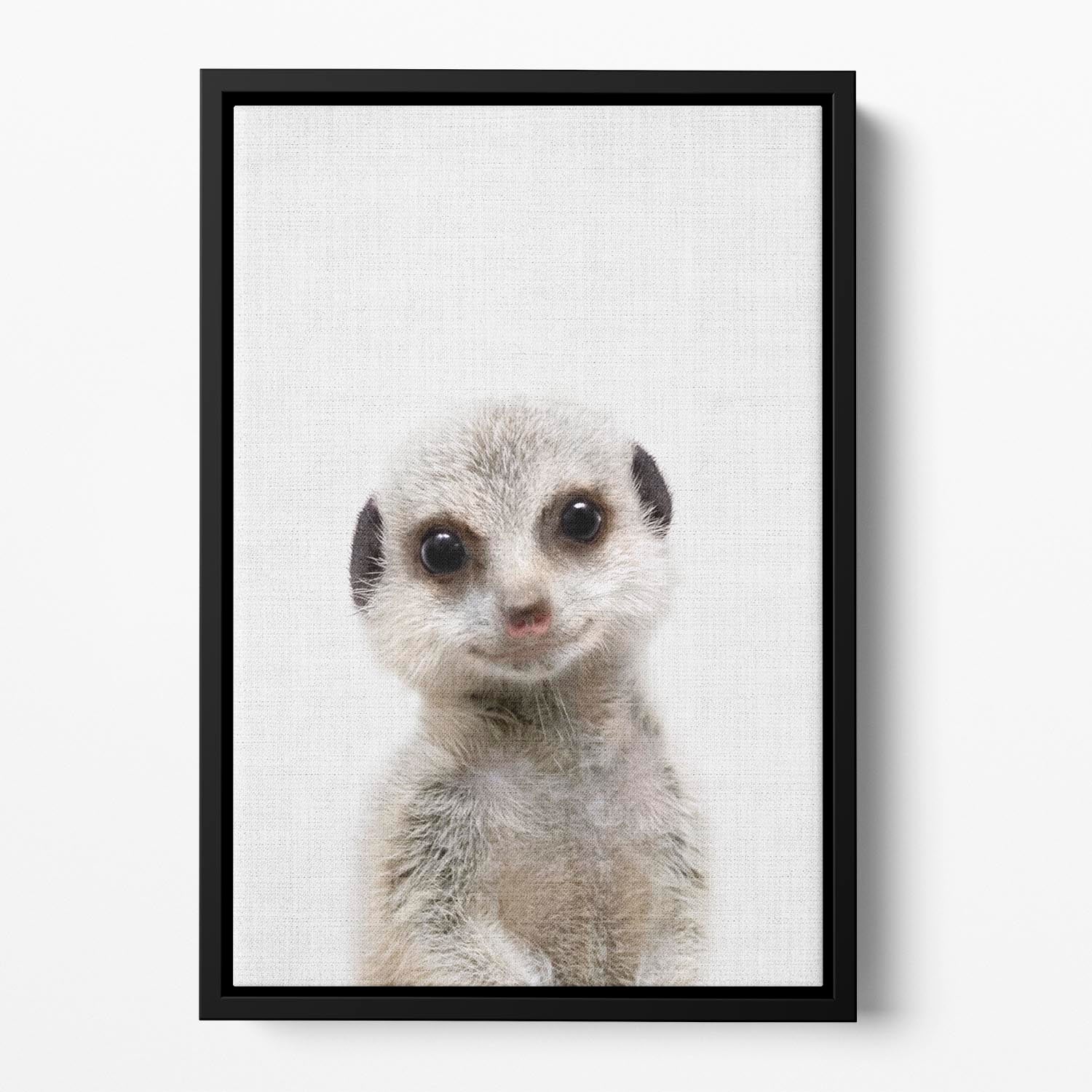 Peekaboo Baby Meerkat Floating Framed Canvas - 1x - 2