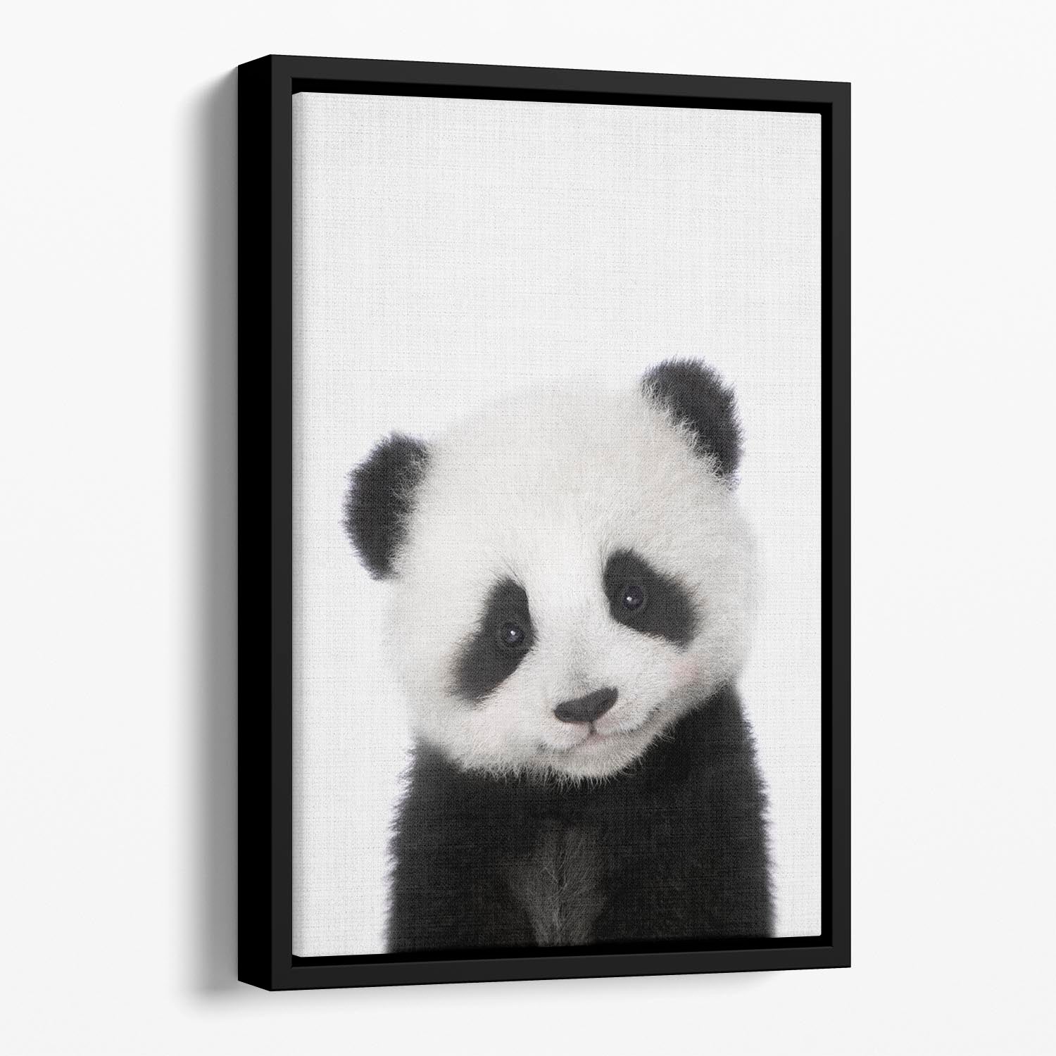 Peekaboo Baby Panda Floating Framed Canvas - 1x - 1