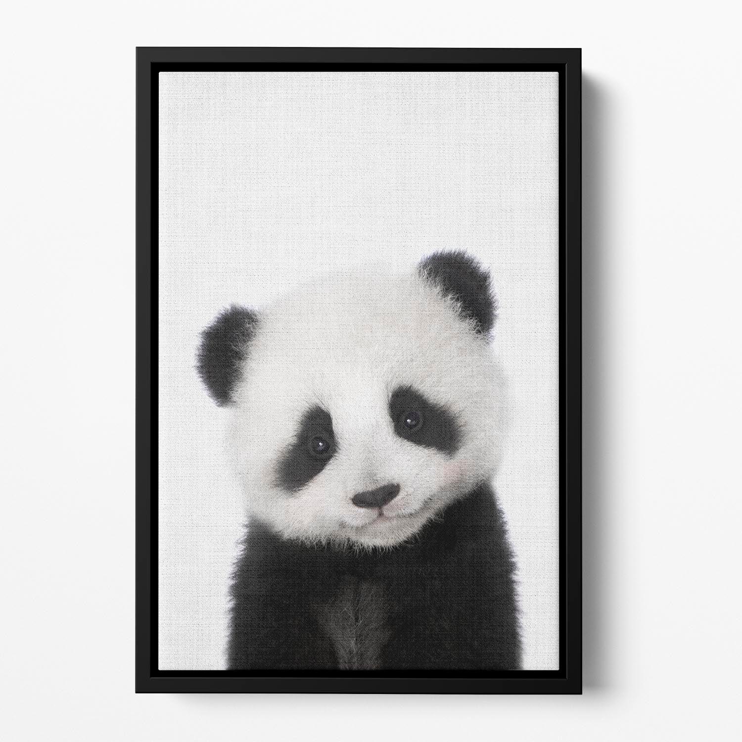 Peekaboo Baby Panda Floating Framed Canvas - 1x - 2