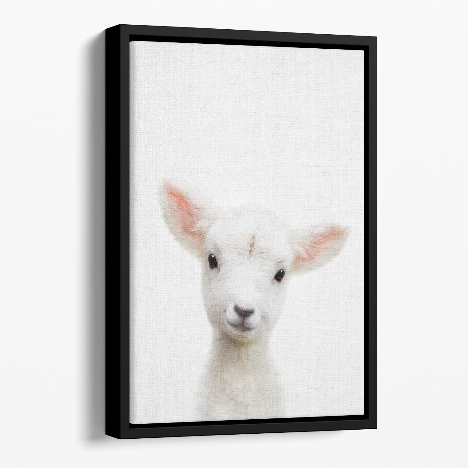 Peekaboo Baby Sheep Floating Framed Canvas - 1x - 1