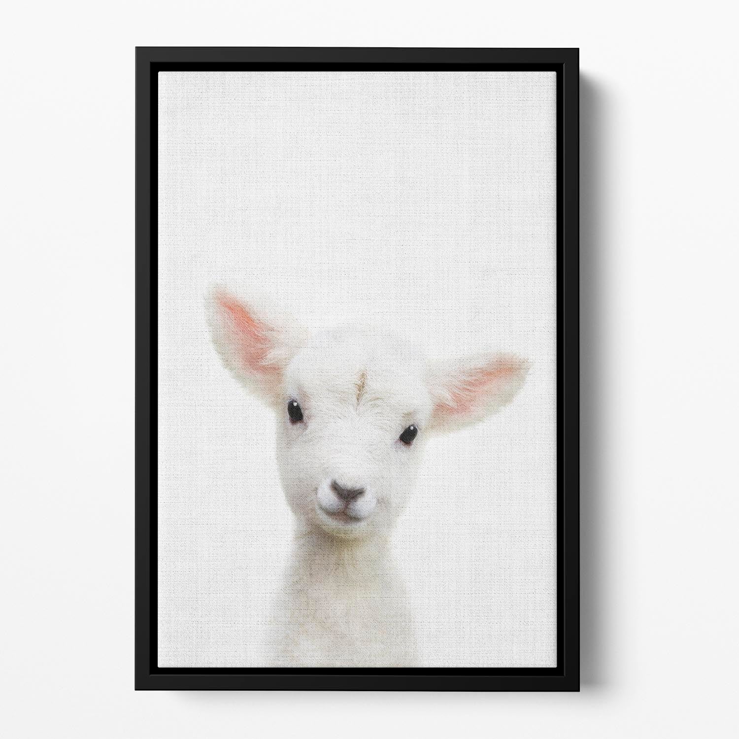 Peekaboo Baby Sheep Floating Framed Canvas - 1x - 2
