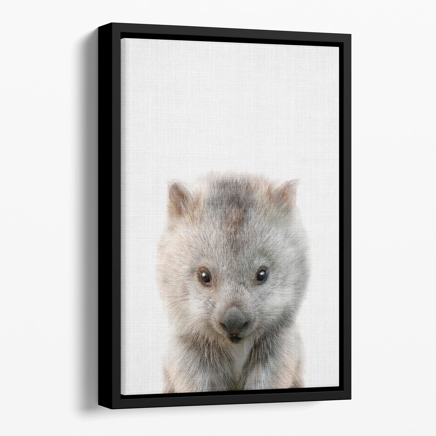Peekaboo Baby Wombat Floating Framed Canvas - 1x - 1