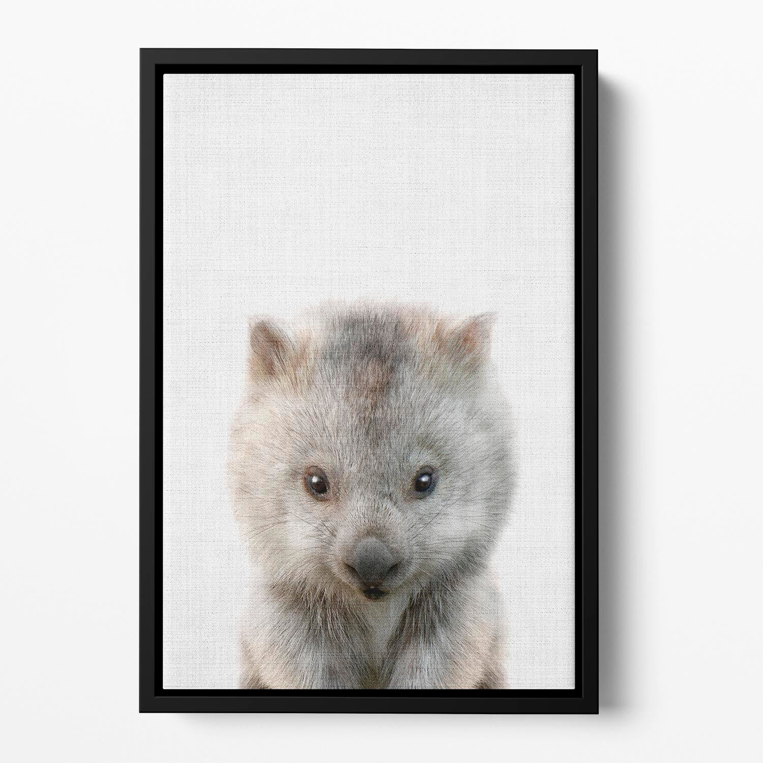 Peekaboo Baby Wombat Floating Framed Canvas - 1x - 2