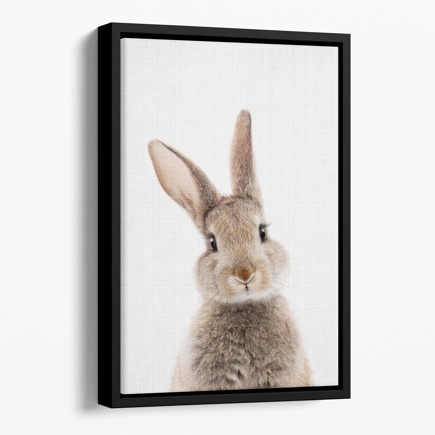 Peekaboo Bunny Floating Framed Canvas - 1x - 1