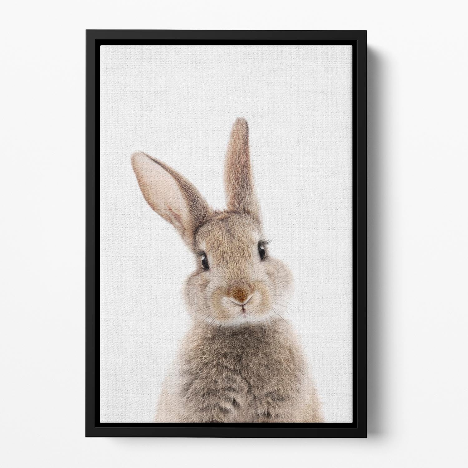 Peekaboo Bunny Floating Framed Canvas - 1x - 2
