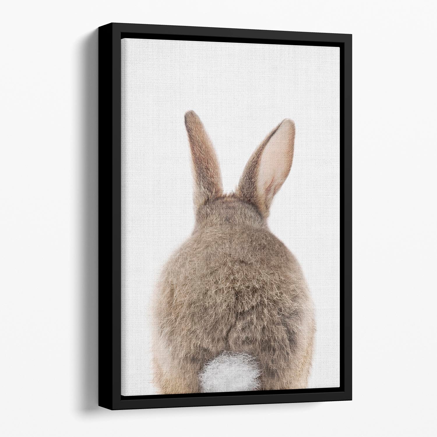 Peekaboo Bunny Tail Floating Framed Canvas - 1x - 1