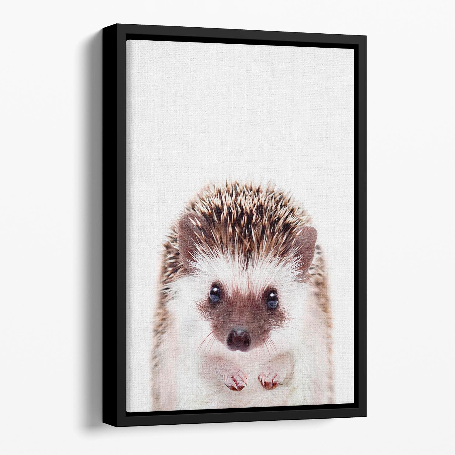Peekaboo Hedgehog Floating Framed Canvas - 1x - 1