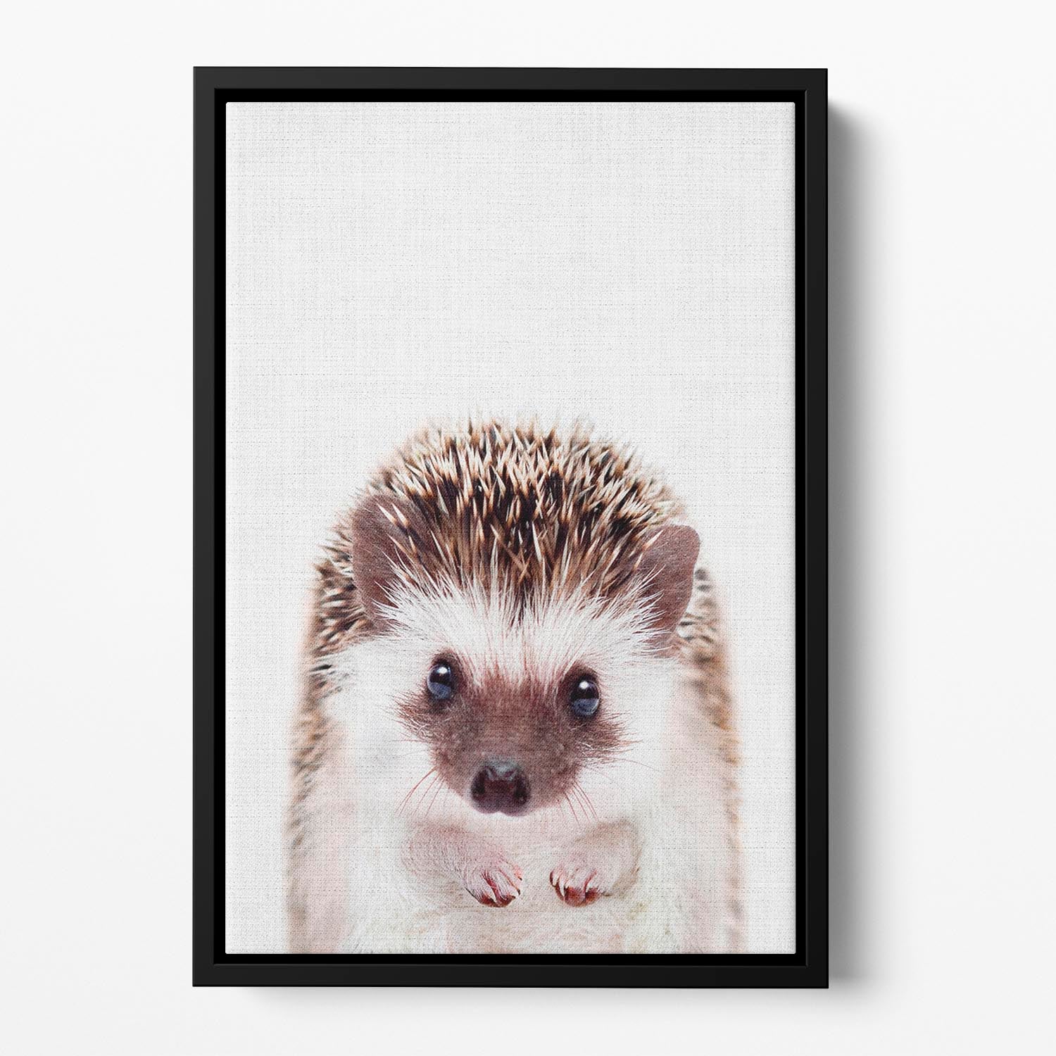 Peekaboo Hedgehog Floating Framed Canvas - 1x - 2