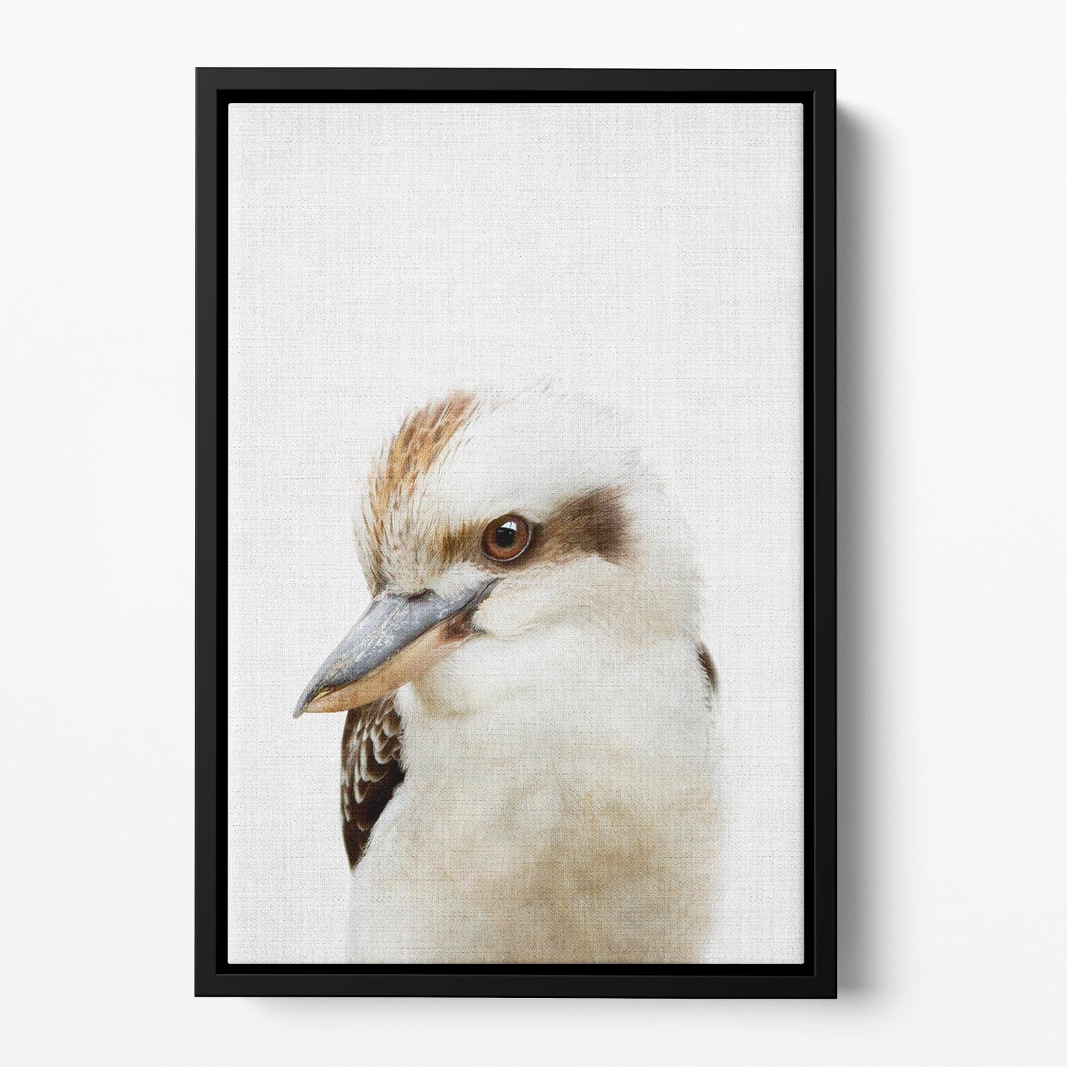 Peekaboo Kookaburra Floating Framed Canvas - 1x - 2