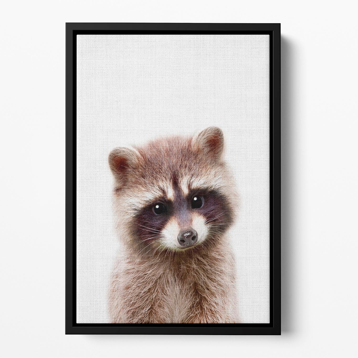 Peekaboo Raccoon Floating Framed Canvas - 1x - 2