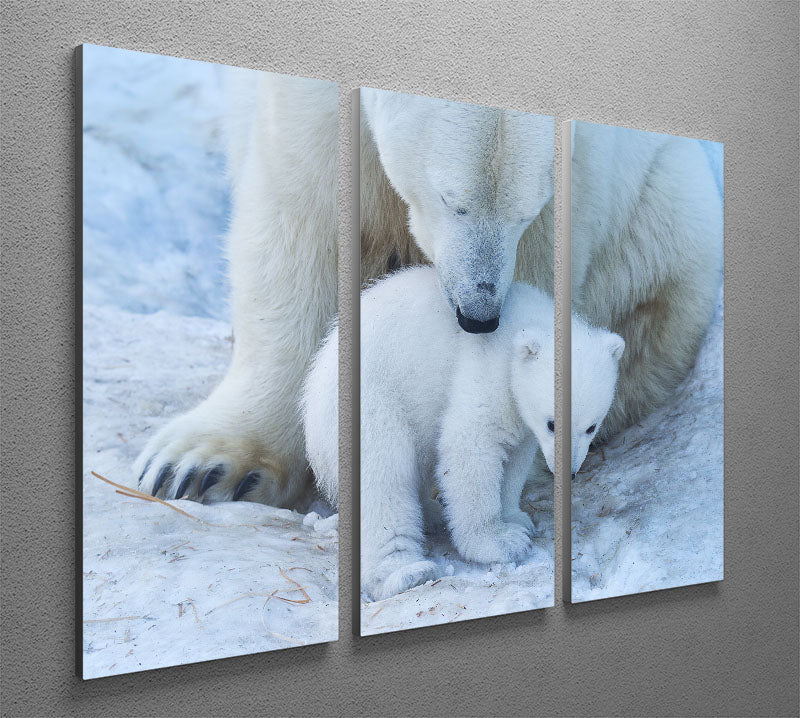 Polar bear Mother 3 Split Panel Canvas Print - 1x - 2