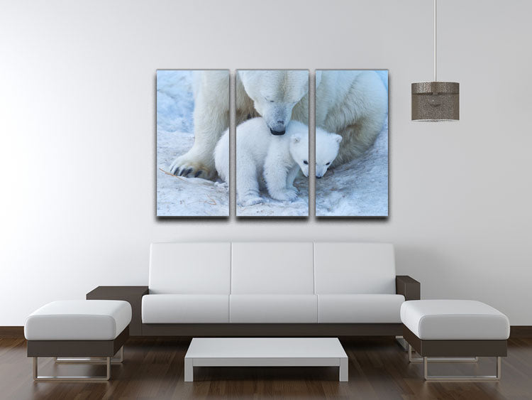 Polar bear Mother 3 Split Panel Canvas Print - 1x - 3