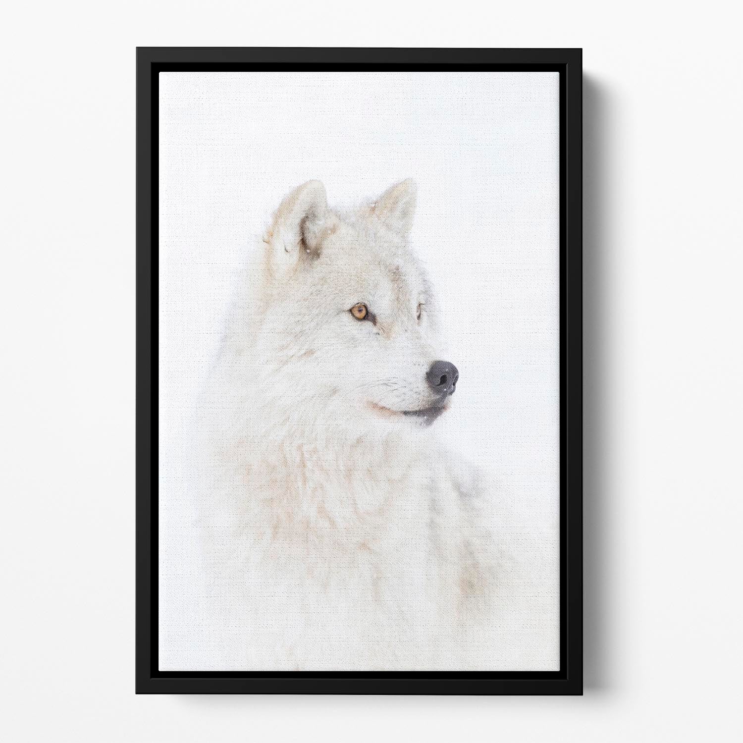 Portrait of an Arctic Wolf Floating Framed Canvas - 1x - 2