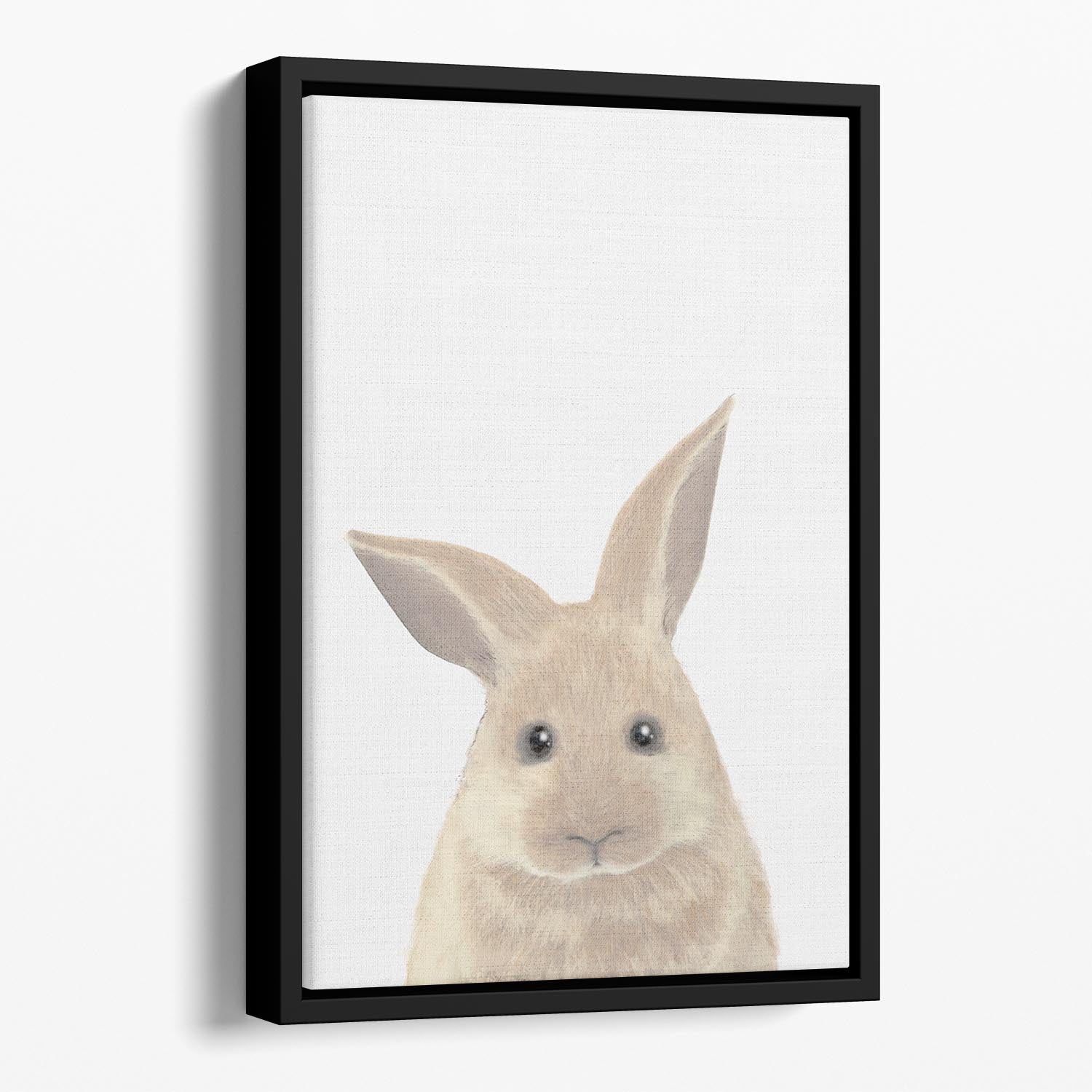 Rabbit Floating Framed Canvas - 1x - 1