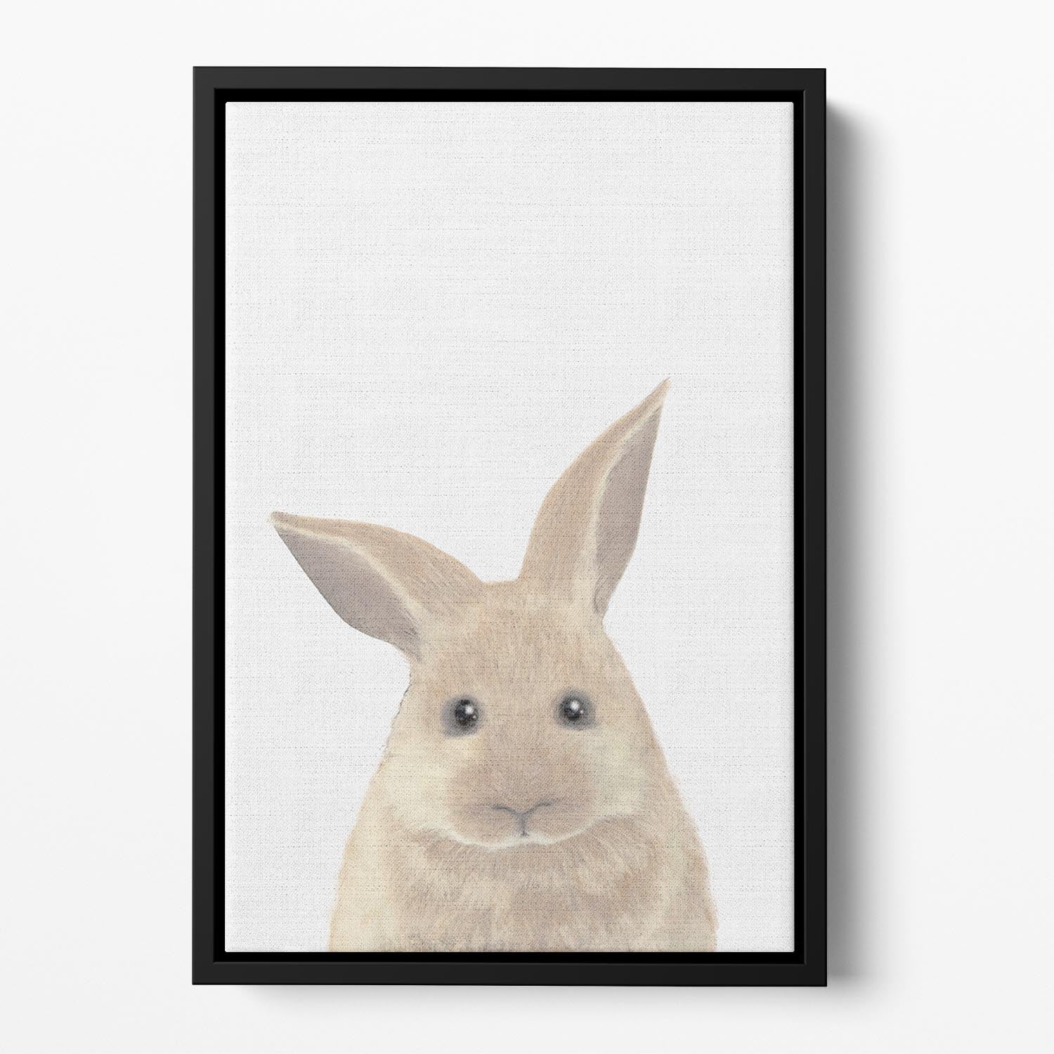 Rabbit Floating Framed Canvas - 1x - 2