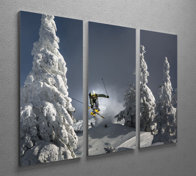 Ski is life 3 Split Panel Canvas Print - 1x - 2
