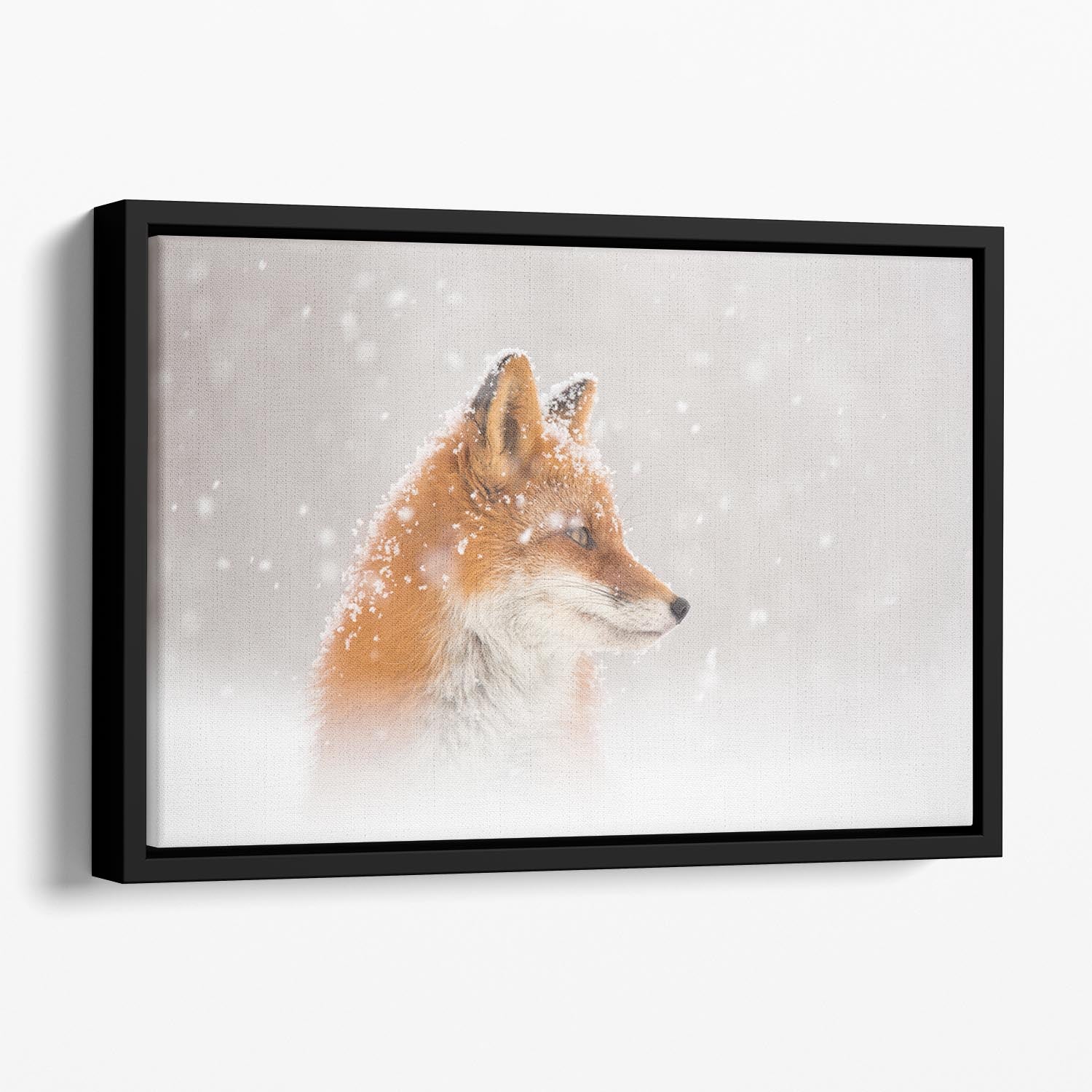 Snow is falling Floating Framed Canvas - 1x - 1