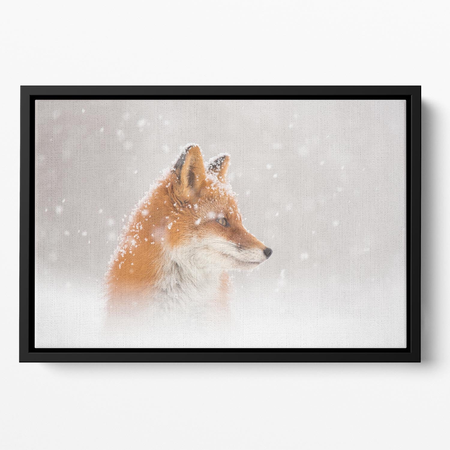 Snow is falling Floating Framed Canvas - 1x - 2