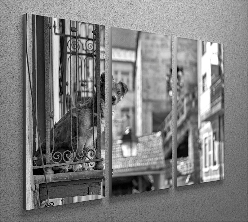 Street Dog 3 Split Panel Canvas Print - 1x - 2