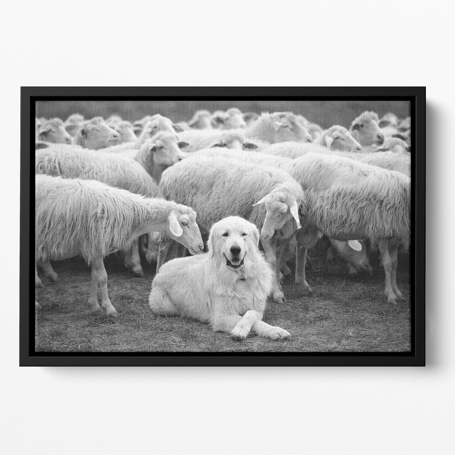 The Boss Floating Framed Canvas - 1x - 2