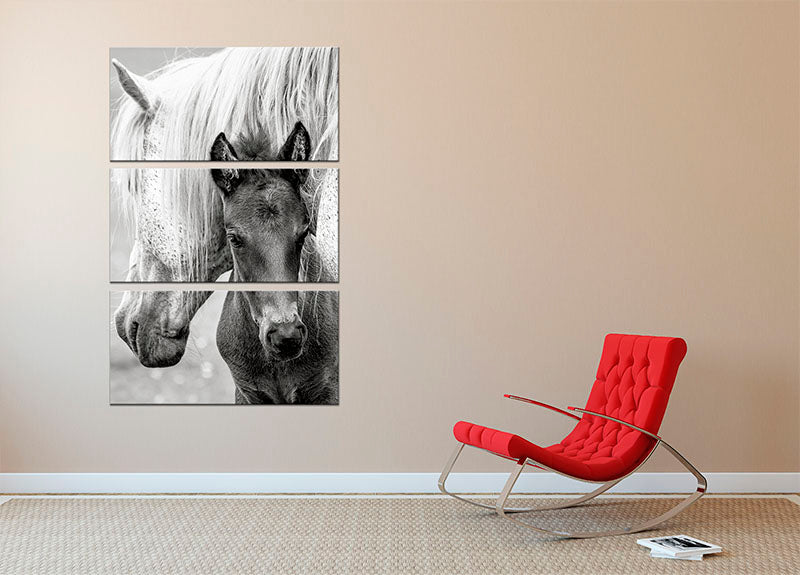 The Foal 3 Split Panel Canvas Print - 1x - 2
