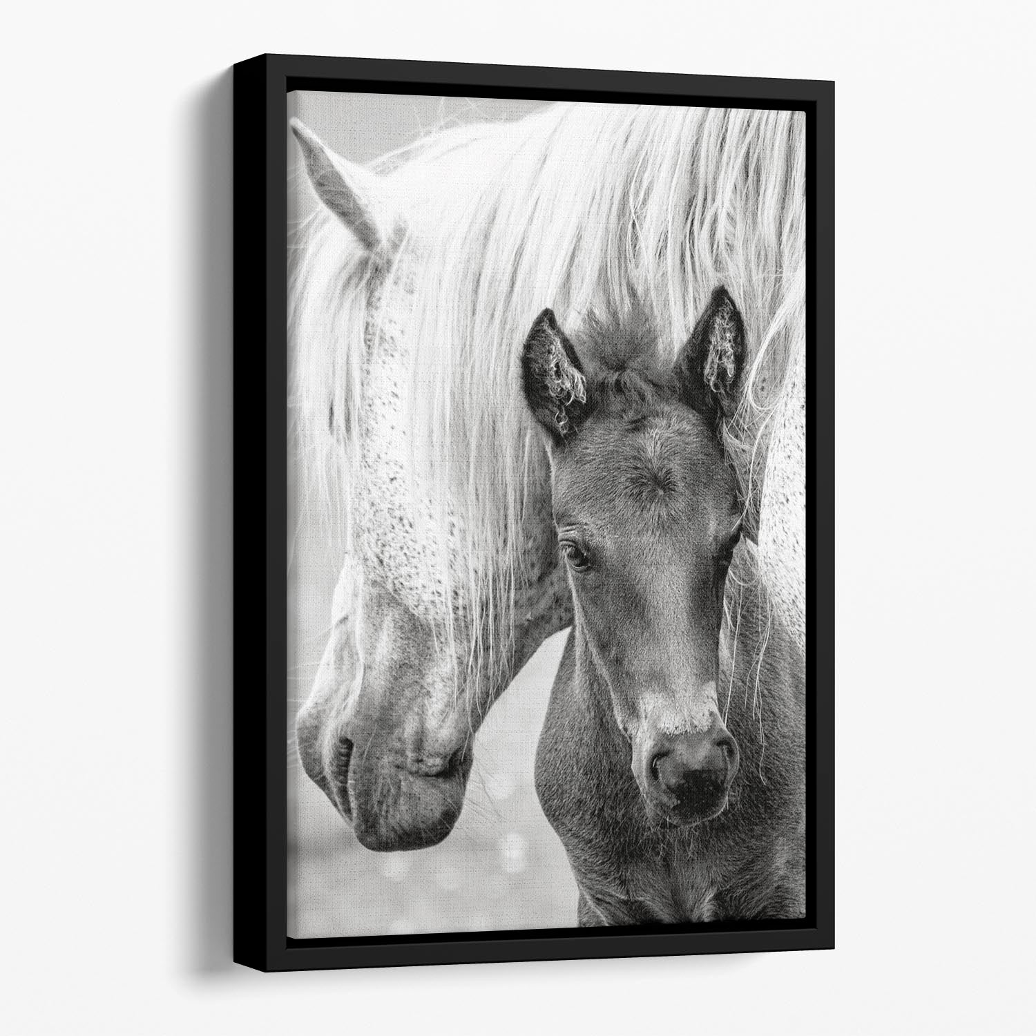 The Foal Floating Framed Canvas - 1x - 1