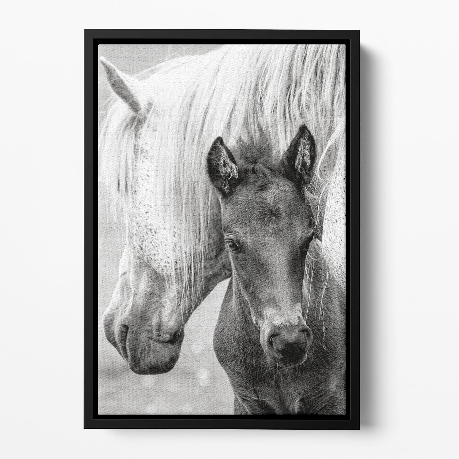 The Foal Floating Framed Canvas - 1x - 2
