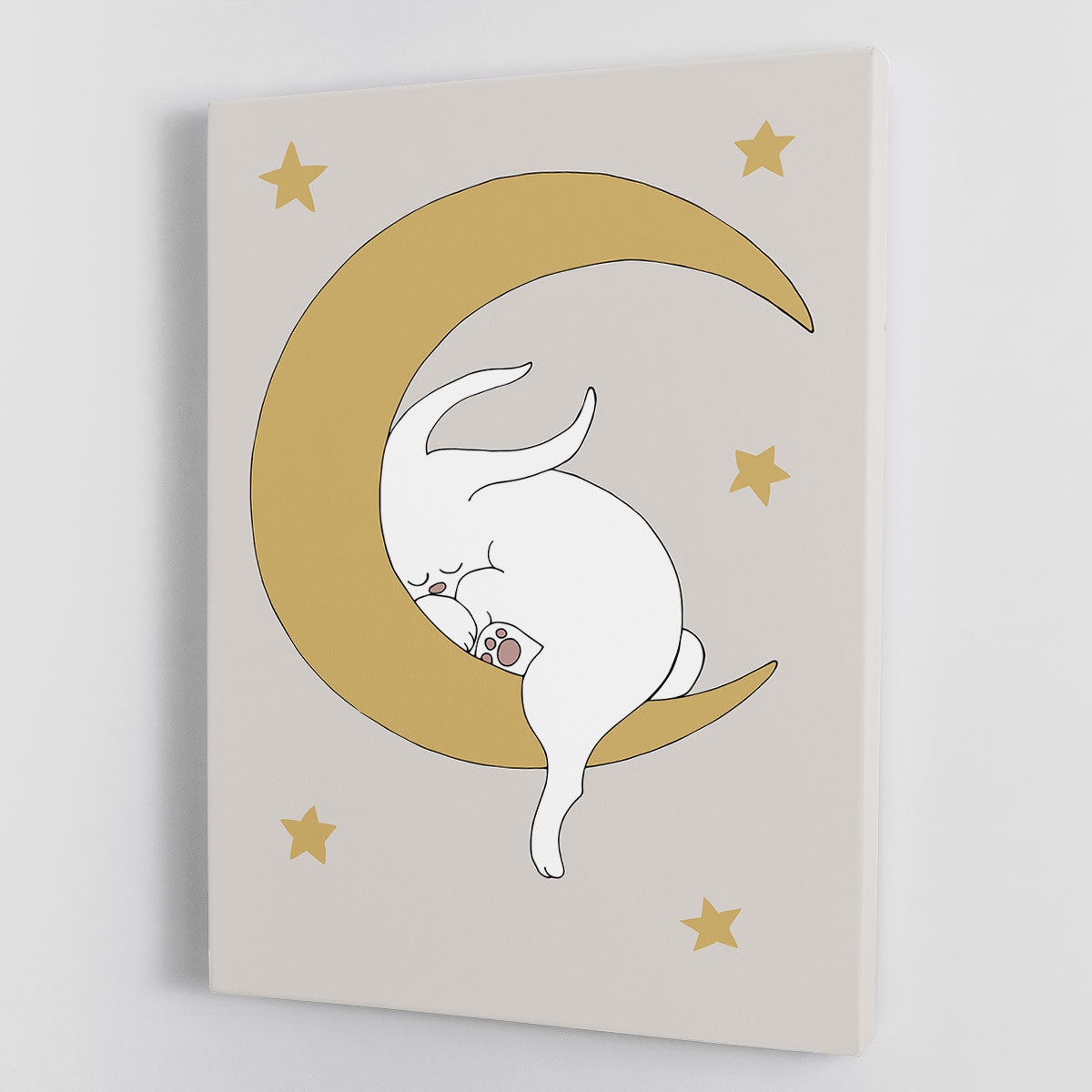 The Rabbit Canvas Print or Poster - 1x - 1