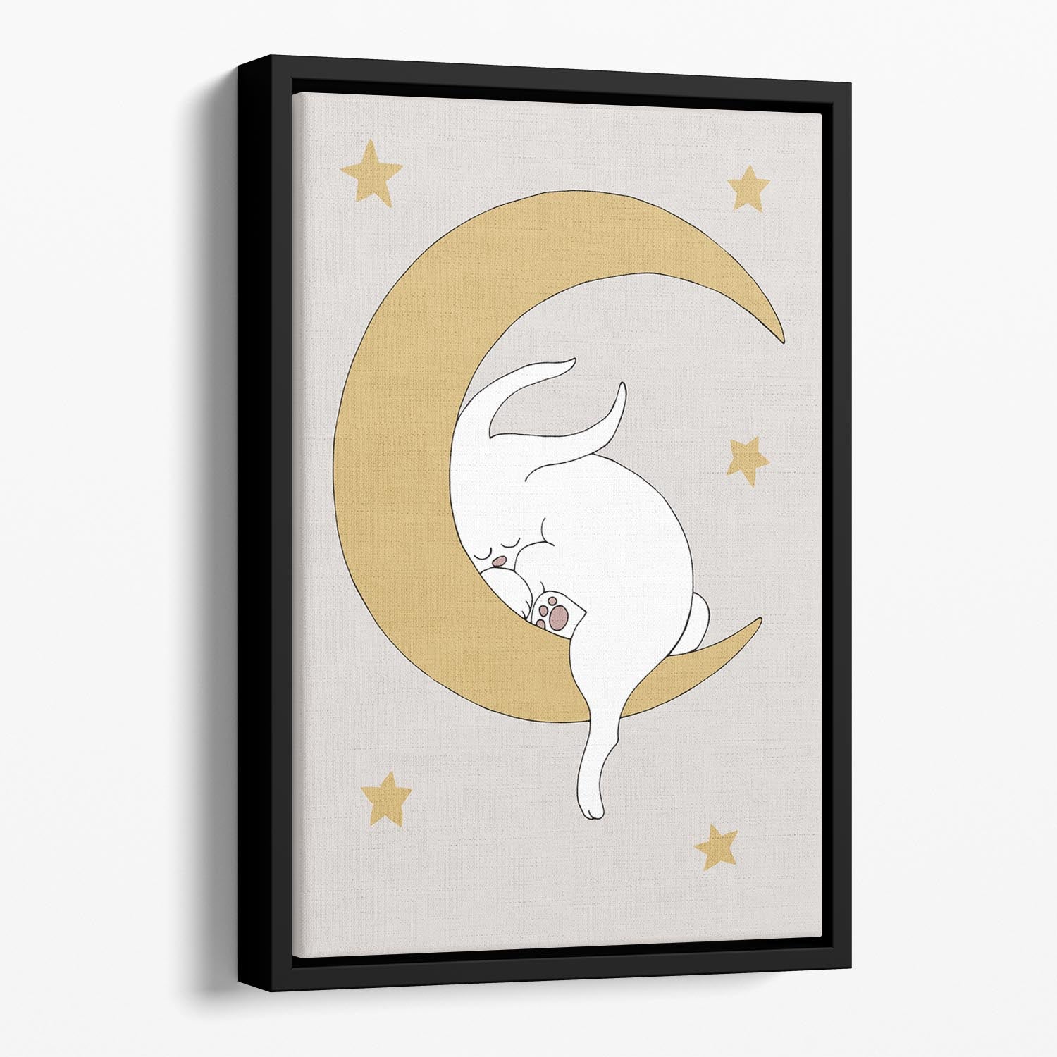 The Rabbit Floating Framed Canvas - 1x - 1