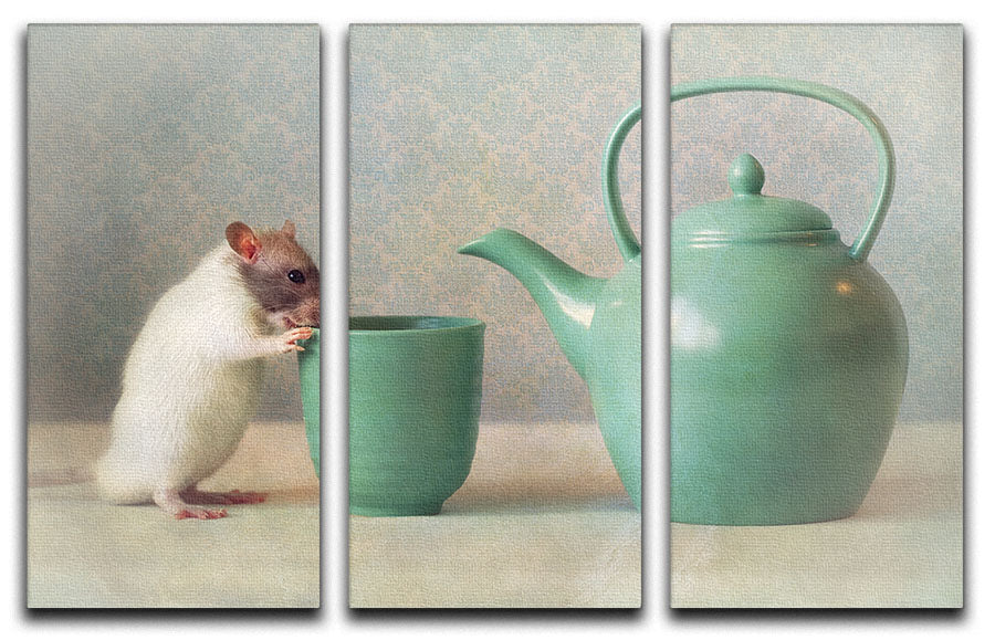 The Teapot 3 Split Panel Canvas Print - 1x - 1