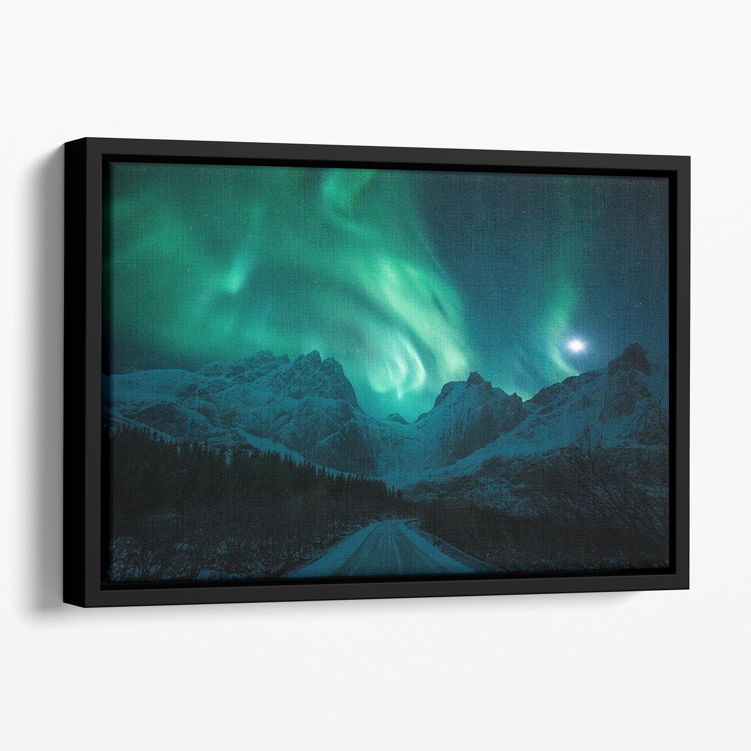 The green Poison Floating Framed Canvas - Canvas Art Rocks - 1